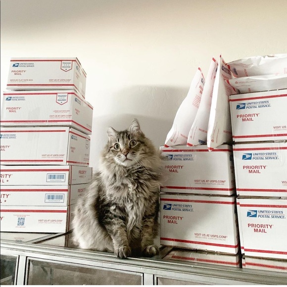 Meet your Posher, Sabrina - Picture 8 of 9